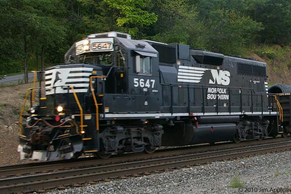 bargundie raleigh ラリー ループタイ colts The bedraggled Raleigh | Another Rodeo