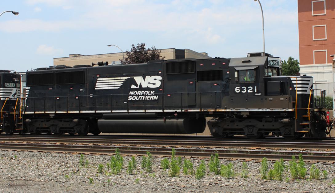 39494.jpg?itok=N_4sqWFV